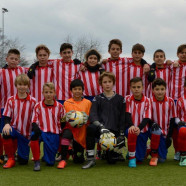 Federazione Ticinese Calcio